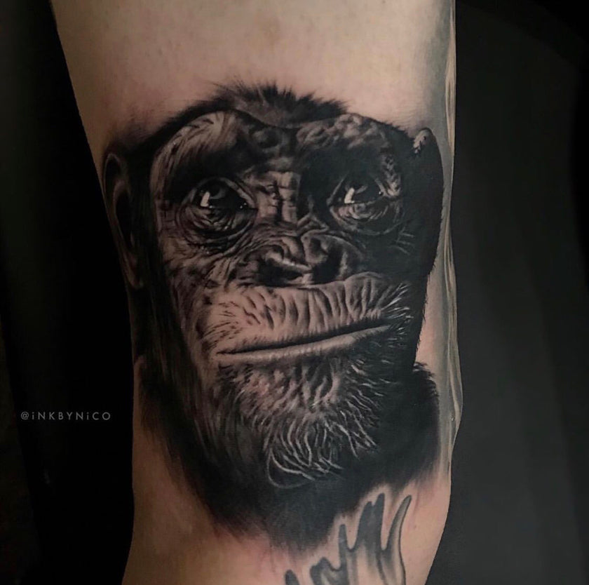 Chimp Tattoo by @inkbynico
